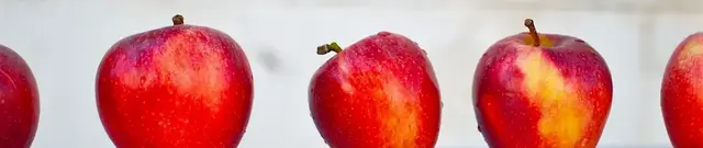 Hoe verkoop je een woning - uw appeltje voor de dorst