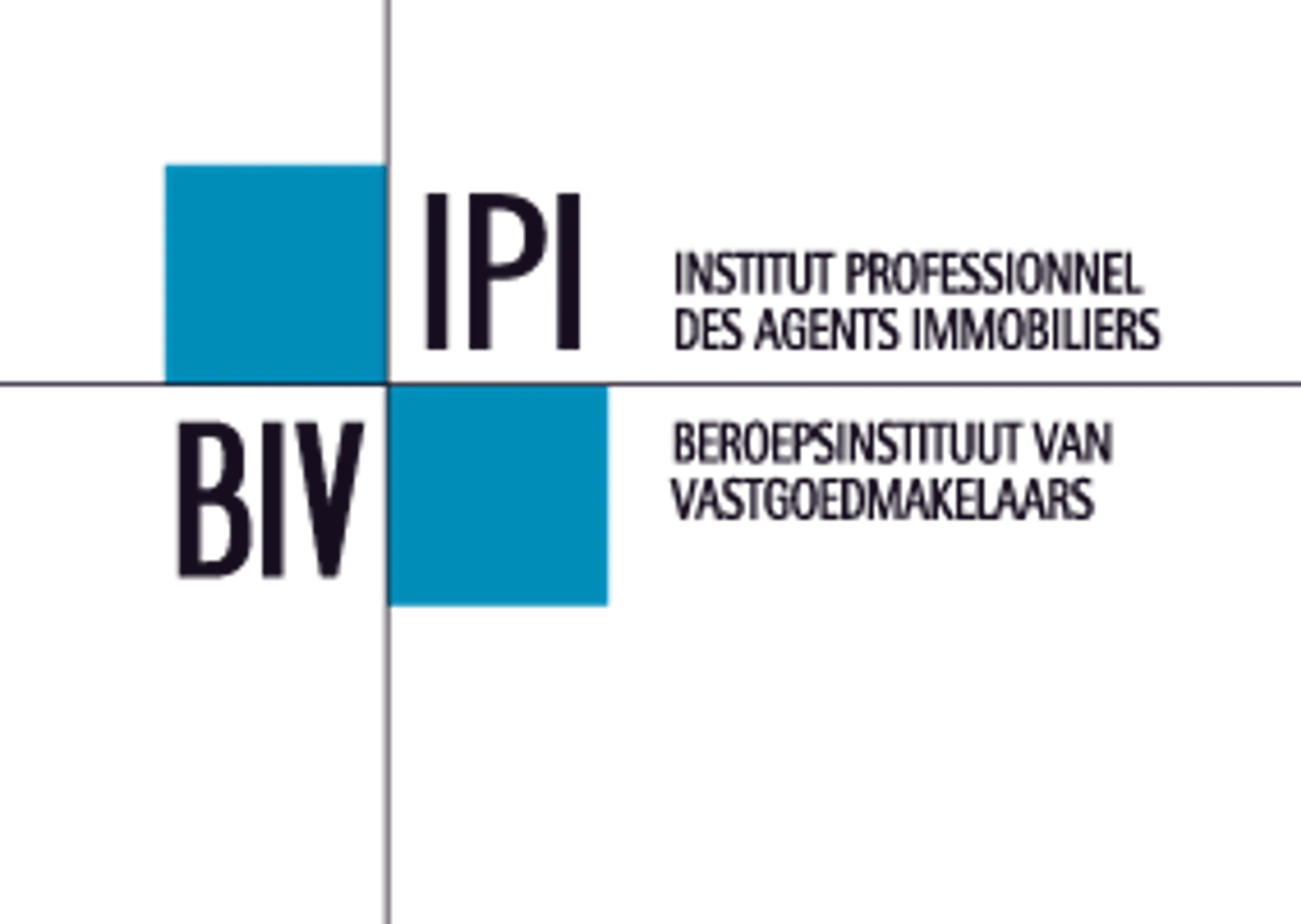Image: Logo BIV