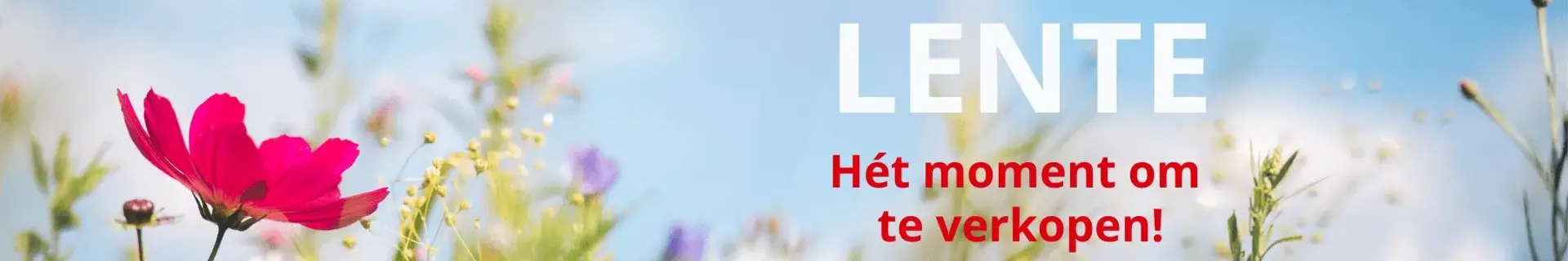 Lente - Het moment om uw woning te verkopen