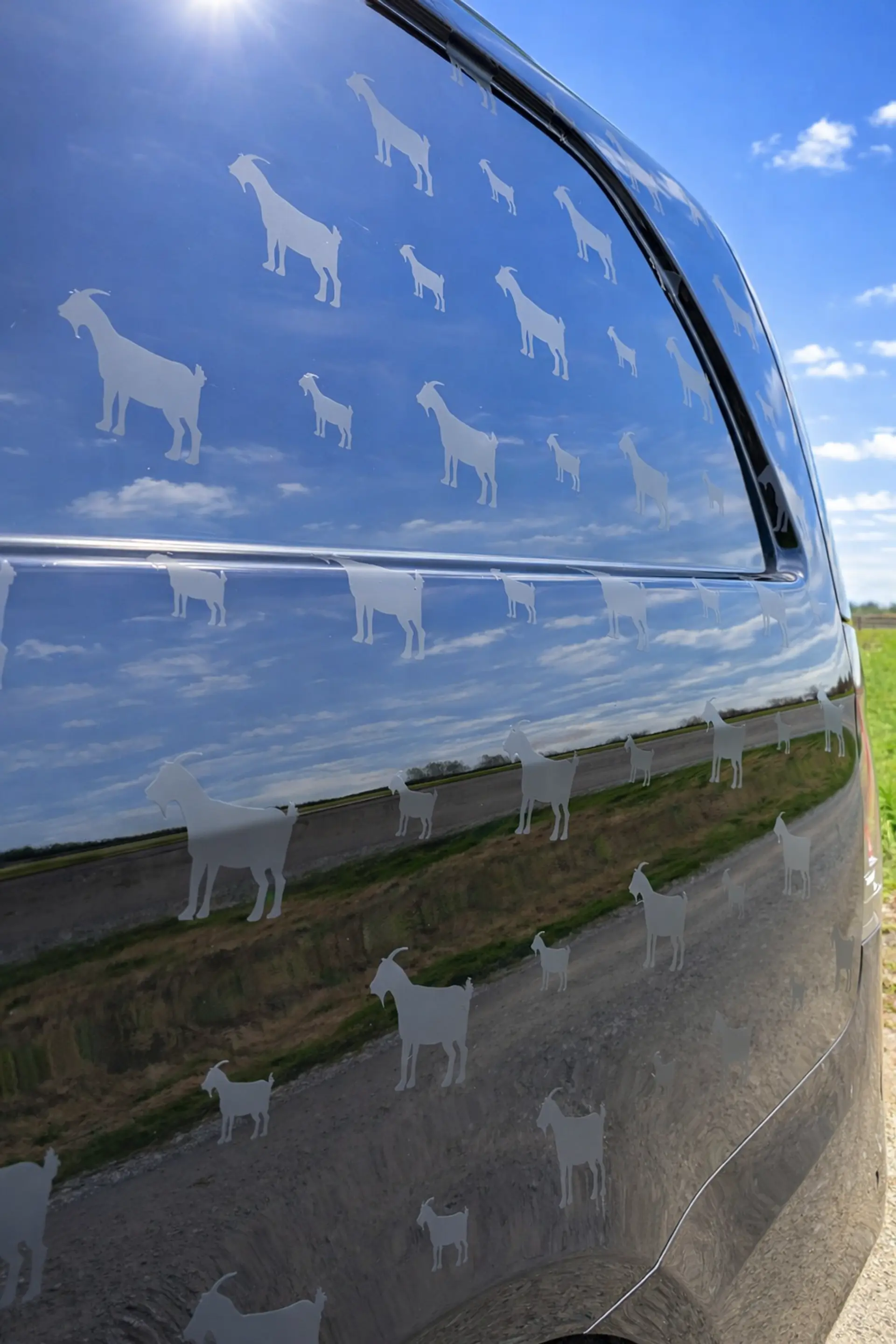 Image: Vito Detail Geitjes Zonnig