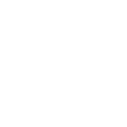 Icoon huis
