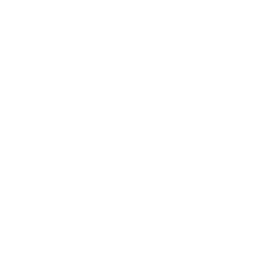 Icon euro