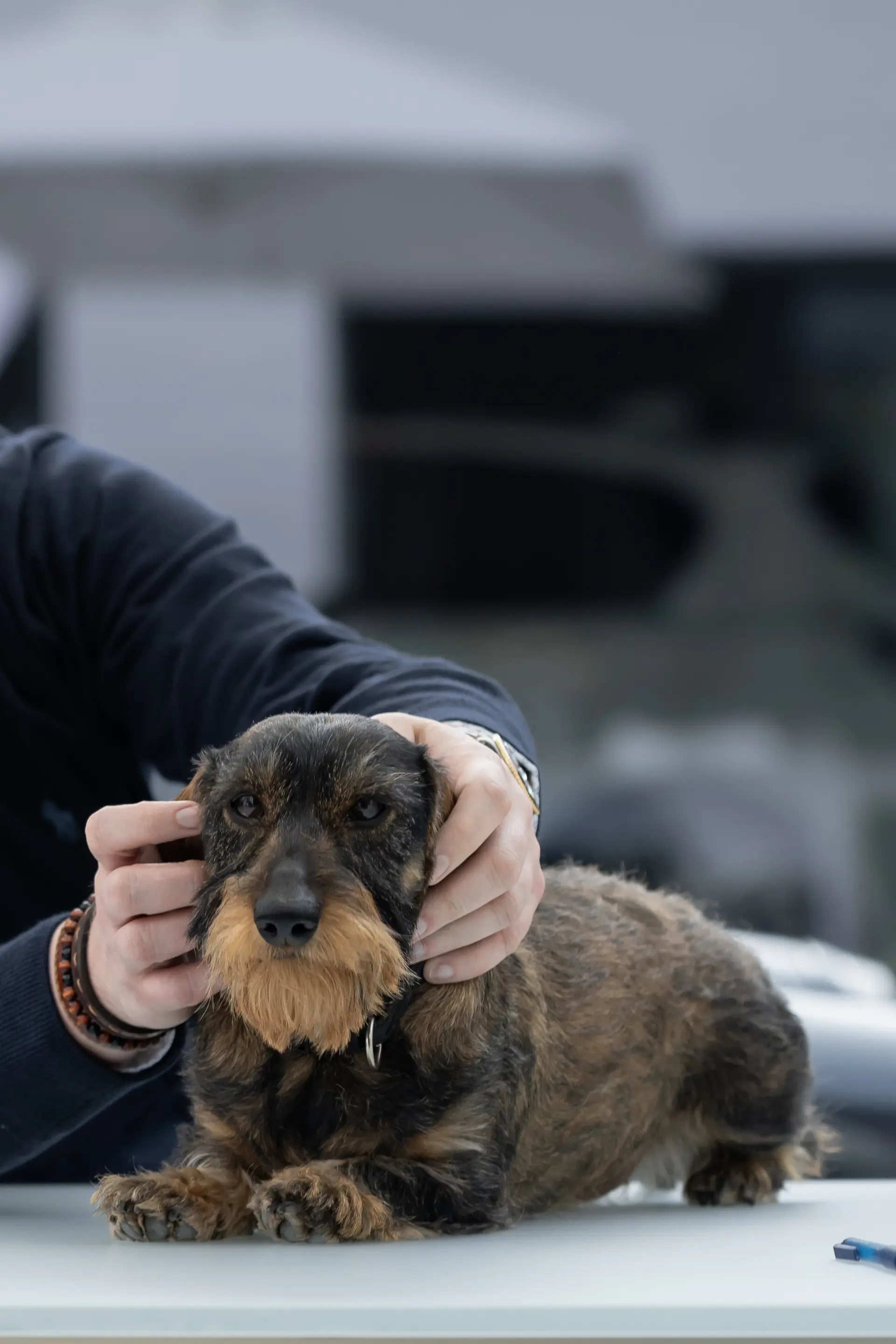 Image: Filou Huize Vandevoort