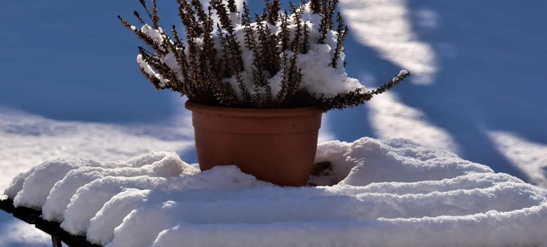 Image: BLOG WINTERKLAAR AFB