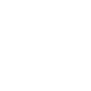 BIV logo