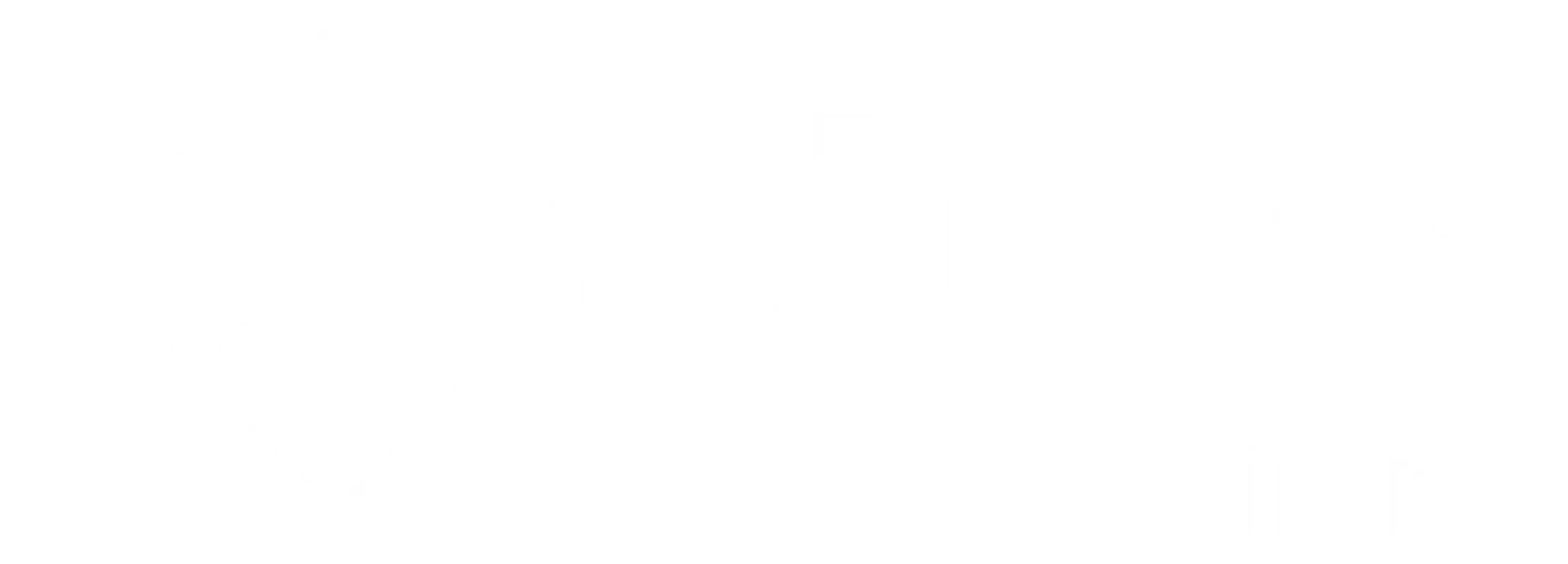 Logo white