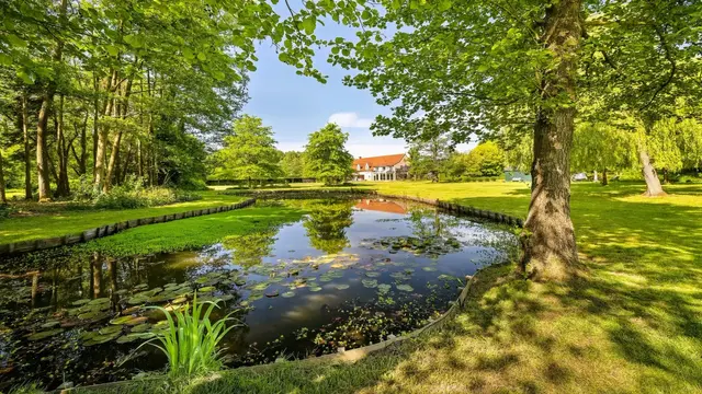 Vlaams landgoed met vijver en volwassen parkbomen