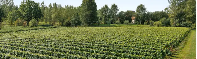 Uitzonderlijk eigendom te koop met uniek karakter in België