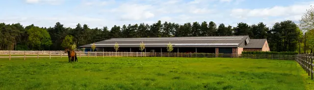 Paardeneigendom met stallen en weides in de Kempen