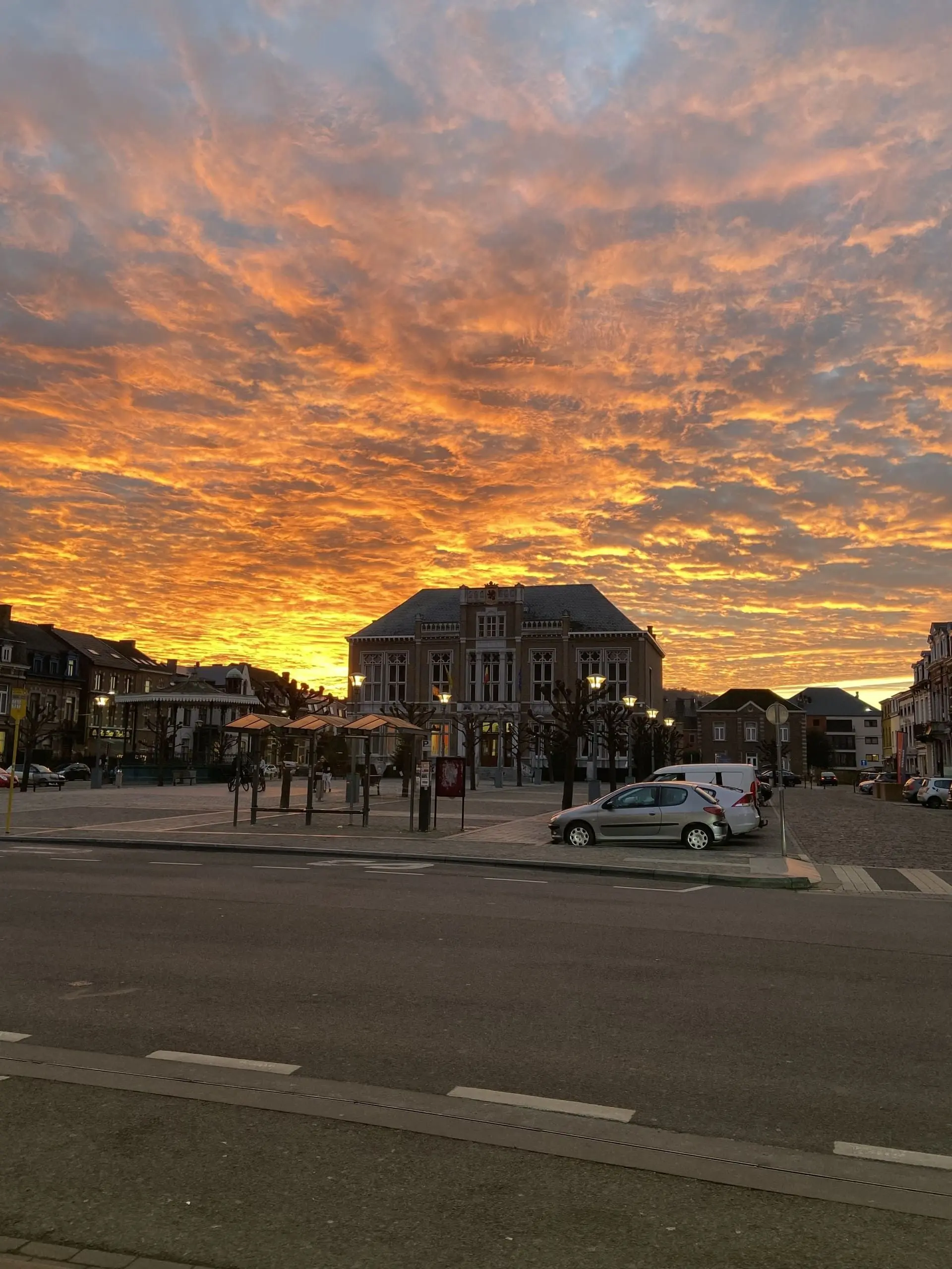 Hotel de Ville Andenne