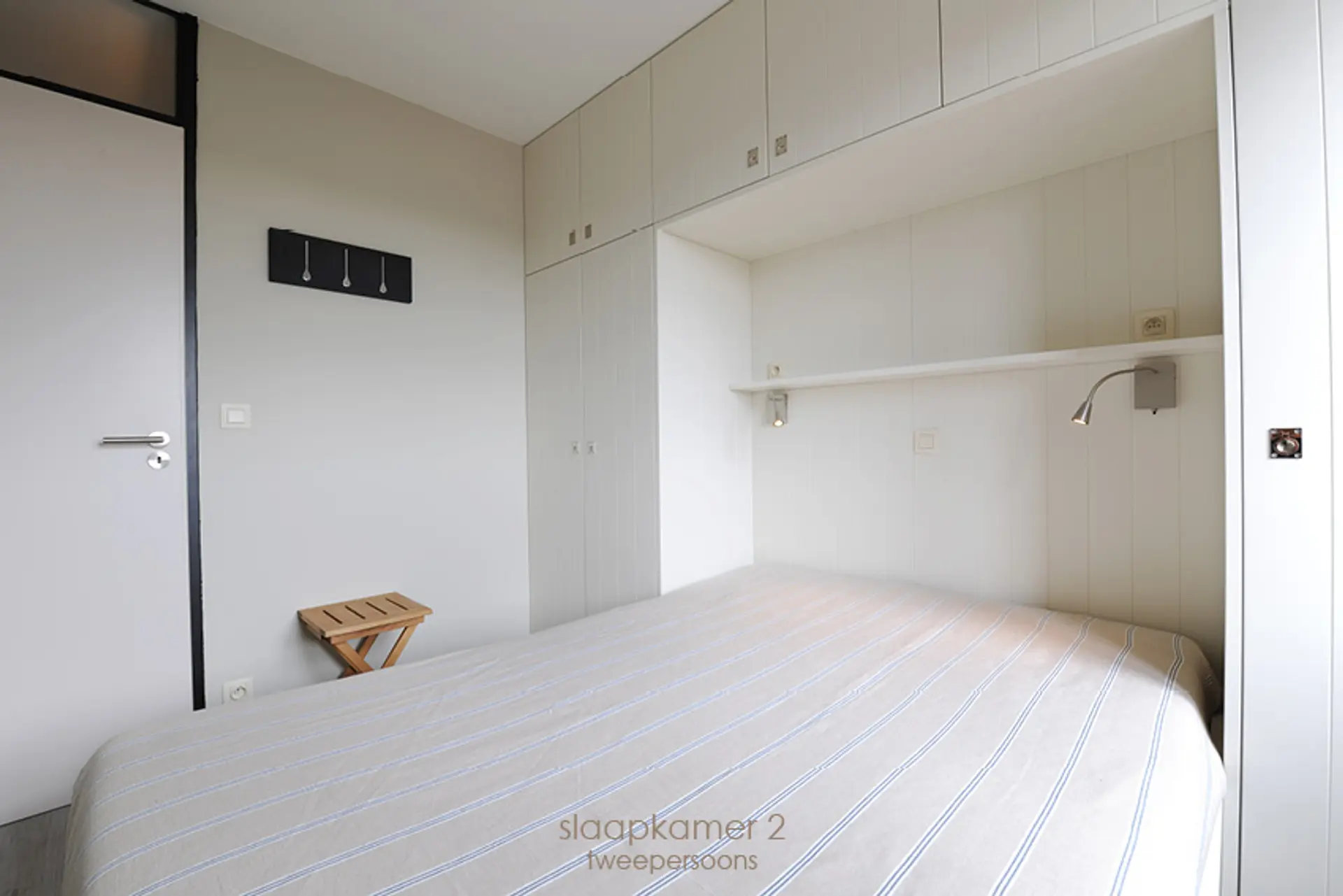 116_Seagull403 foto7.jpg